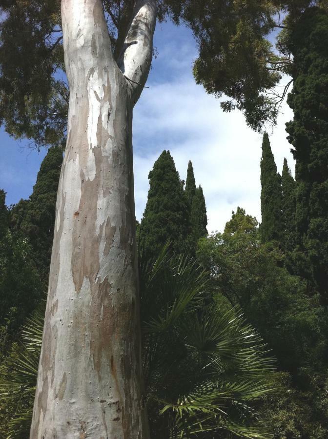 Dormiusa Bordighera Dış mekan fotoğraf