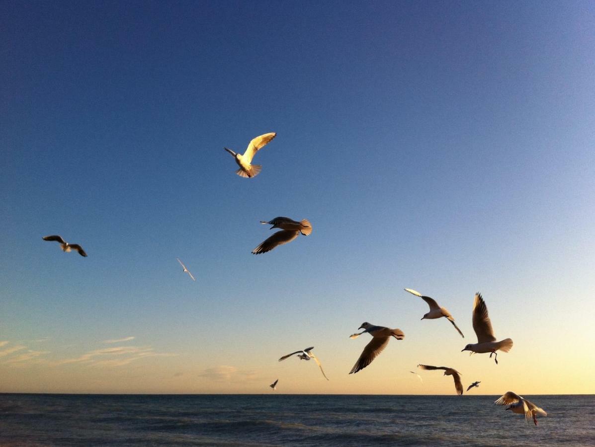 Dormiusa Bordighera Dış mekan fotoğraf